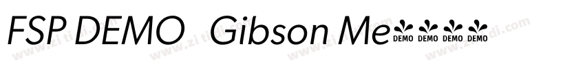 FSP DEMO   Gibson Me字体转换